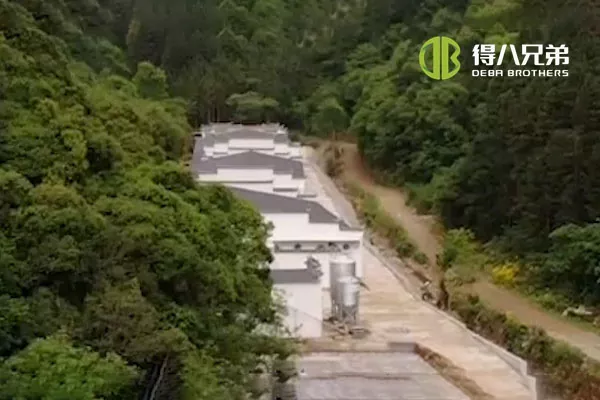 ãलिक्विड फीडिंग सिस्टमãAnhui Huangshan 400 sows farm