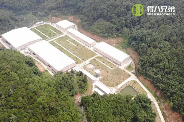 ãलिक्विड फीडिंग सिस्टमãGuangdong Zhaoqing 20000 fattening 10000 weaning pig farm.