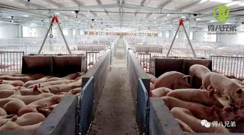 उन्हाळ्यात उष्णतेच्या तणावाविरूद्ध प्रभावी प्रतिकारक उपाय