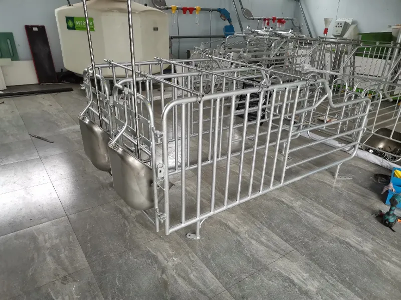 पिग फार्मिंग पेन उपकरणांसाठी हॉट-डिप गॅल्वनाइजिंगचे मुख्य फायदे