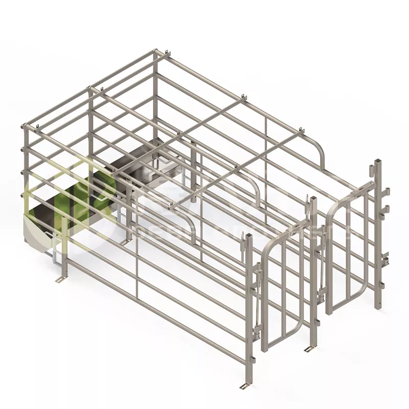 विस्तीर्ण स्पॅनिश फ्री-ऍक्सेस पिग स्टॉल्स